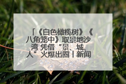 《白色橄榄树》《八角笼中》取景地沙湾 凭借“景、城、人”火爆出圈丨新闻发布最前线