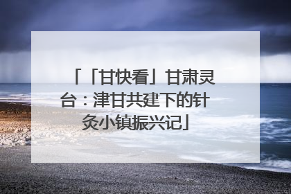 「甘快看」甘肃灵台：津甘共建下的针灸小镇振兴记