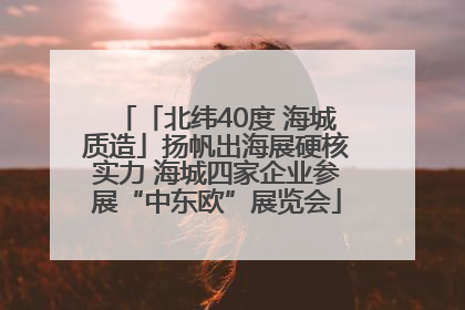 「北纬40度 海城质造」扬帆出海展硬核实力 海城四家企业参展“中东欧”展览会