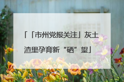 「市州党报关注」灰土渣里孕育新“硒”望