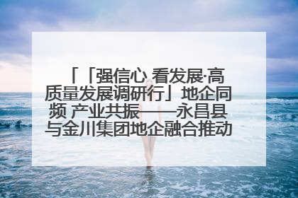 「强信心 看发展·高质量发展调研行」地企同频 产业共振——永昌县与金川集团地企融合推动重大项目建设