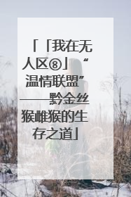 「我在无人区⑧」“温情联盟”——黔金丝猴雌猴的生存之道