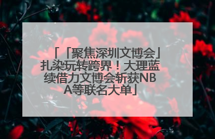 「聚焦深圳文博会」扎染玩转跨界！大理蓝续借力文博会斩获NBA等联名大单