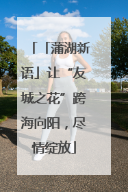 「蒲湖新语」让“友城之花”跨海向阳，尽情绽放