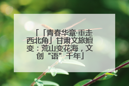 「青春华章·重走西北角」甘肃文旅嬗变：荒山变花海，文创“语”千年