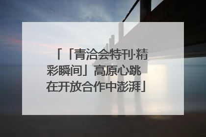 「青洽会特刊·精彩瞬间」高原心跳 在开放合作中澎湃