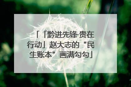 「黔进先锋·贵在行动」赵大志的“民生账本”画满勾勾