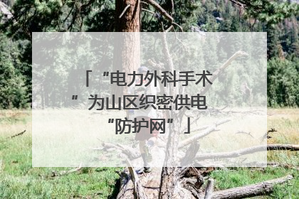“电力外科手术”为山区织密供电“防护网”