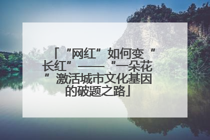 “网红”如何变“长红”——“一朵花”激活城市文化基因的破题之路