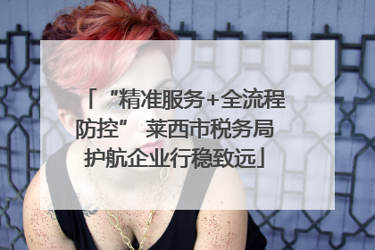 “精准服务+全流程防控” 莱西市税务局护航企业行稳致远