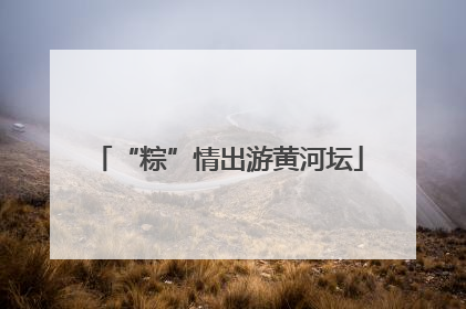 “粽”情出游黄河坛