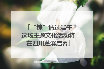 “粽”情过端午！这场主题文化活动将在四川蓬溪启幕
