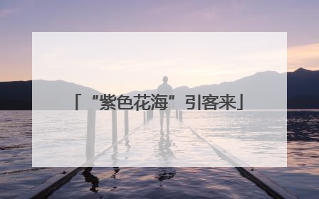 “紫色花海”引客来