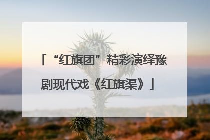“红旗团”精彩演绎豫剧现代戏《红旗渠》