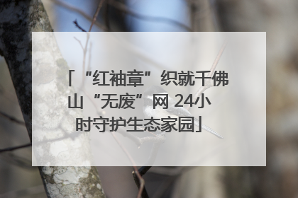“红袖章”织就千佛山“无废”网 24小时守护生态家园