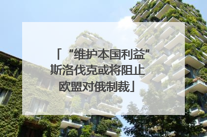 “维护本国利益” 斯洛伐克或将阻止欧盟对俄制裁