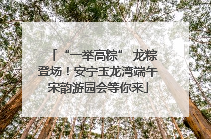 “一举高粽” 龙粽登场！安宁玉龙湾端午宋韵游园会等你来