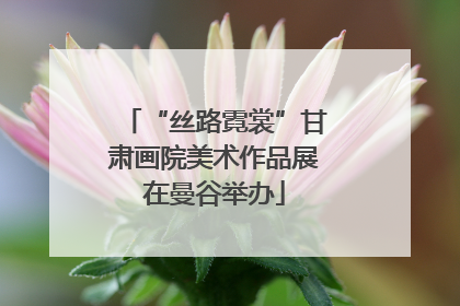 “丝路霓裳”甘肃画院美术作品展在曼谷举办