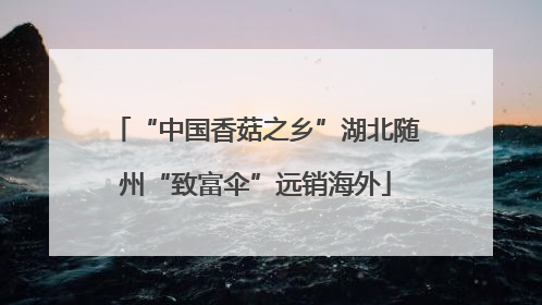 “中国香菇之乡”湖北随州“致富伞”远销海外