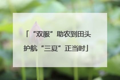“双服”助农到田头 护航“三夏”正当时