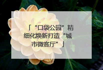 “口袋公园”精细化焕新打造“城市微客厅”