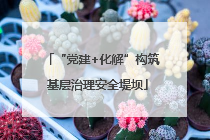 “党建+化解”构筑基层治理安全堤坝