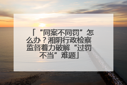 “同案不同罚”怎么办？湘阴行政检察监督着力破解“过罚不当”难题