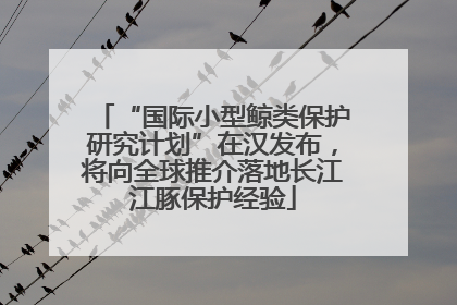 “国际小型鲸类保护研究计划”在汉发布，将向全球推介落地长江江豚保护经验