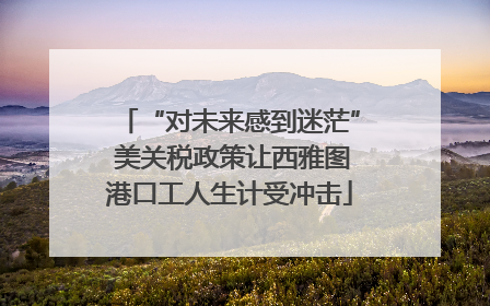 “对未来感到迷茫” 美关税政策让西雅图港口工人生计受冲击