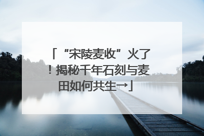 “宋陵麦收”火了！揭秘千年石刻与麦田如何共生→