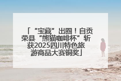 “宝藏”出圈！自贡荣县“熊猫咖啡杯”斩获2025四川特色旅游商品大赛铜奖