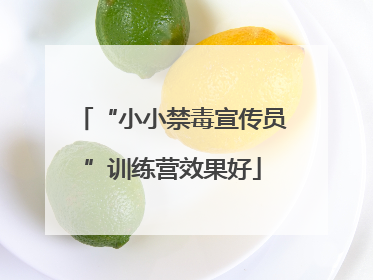“小小禁毒宣传员”训练营效果好