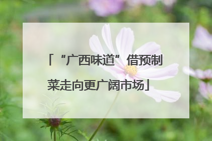 “广西味道”借预制菜走向更广阔市场