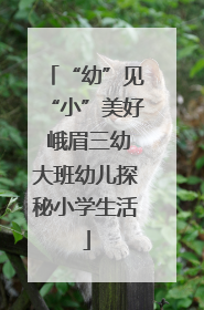 “幼”见“小”美好 峨眉三幼大班幼儿探秘小学生活