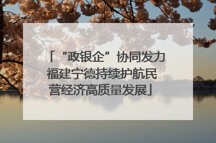 “政银企”协同发力 福建宁德持续护航民营经济高质量发展