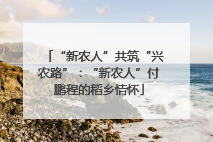 “新农人”共筑“兴农路”：“新农人”付鹏程的稻乡情怀