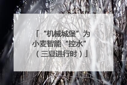 “机械城堡”为小麦智能“控水”（三夏进行时）