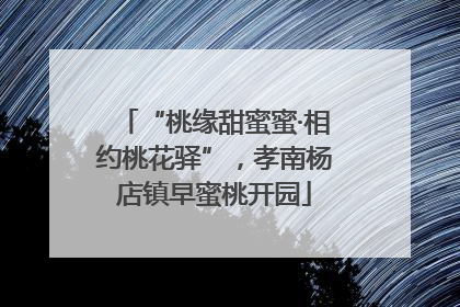 “桃缘甜蜜蜜·相约桃花驿”，孝南杨店镇早蜜桃开园