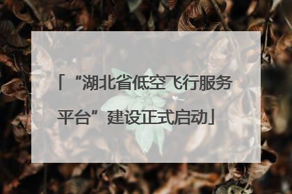 “湖北省低空飞行服务平台”建设正式启动