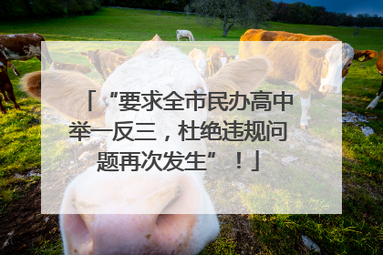 “要求全市民办高中举一反三，杜绝违规问题再次发生”！