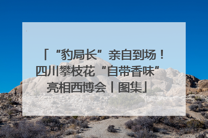 “豹局长”亲自到场！四川攀枝花“自带香味”亮相西博会丨图集
