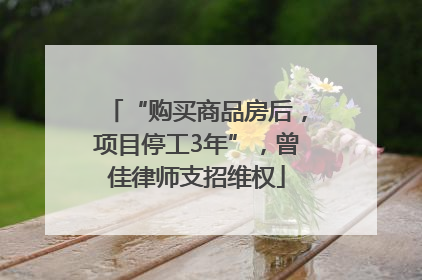 “购买商品房后，项目停工3年”，曾佳律师支招维权