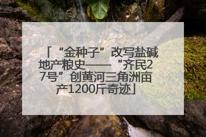 “金种子”改写盐碱地产粮史——“齐民27号”创黄河三角洲亩产1200斤奇迹