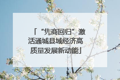 “隽商回归”激活通城县域经济高质量发展新动能