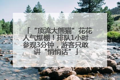 “顶流大熊猫”花花人气爆棚！排队1小时参观3分钟，游客只敢讲“悄悄话”