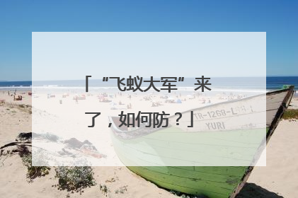 “飞蚁大军”来了，如何防？