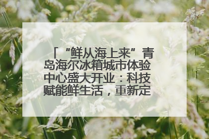 “鲜从海上来”青岛海尔冰箱城市体验中心盛大开业：科技赋能鲜生活，重新定义全球饮食未来