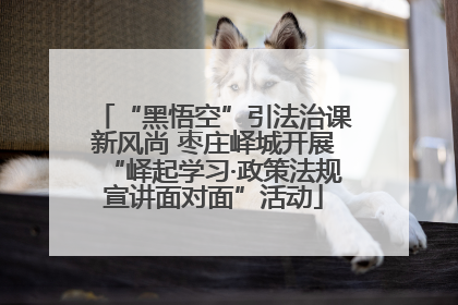 “黑悟空”引法治课新风尚 枣庄峄城开展“峄起学习·政策法规宣讲面对面”活动