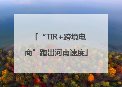“TIR+跨境电商”跑出河南速度