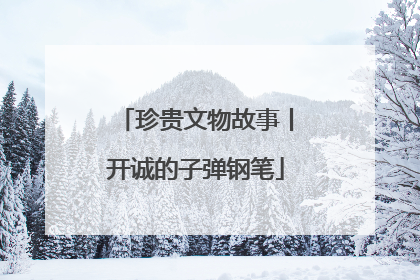 珍贵文物故事丨开诚的子弹钢笔
